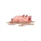 Happy pink pig lying in dirt. Farm animal. Domestic creature. Cartoon character. Vector design