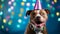 Happy pitbull dog portrait for birthday