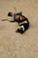 A happy, playful mixed breed dog rolling in the cement floor