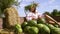 Happy plus size model in ethnic costume posing among watermelons