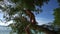 Happy pretty blonde woman wearing colourful swimwear sitting on a branch on a beautiful summer day with beautiful sea and sky back