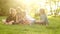 Happy pupils during the school break, sitting on a glade in the park. Kids throw grass. Back to school