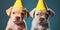 Happy puppy dogs wearing party hats celebrating