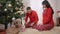 Happy relaxed Caucasian couple putting Christmas present under New Year tree at home. Portrait of smiling pregnant woman