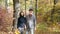 Happy retired couple look up into the distance holding hands while standing in a forest among the trees in autumn sunny