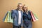 Happy retired couple shopaholics with colorful shopping bags