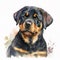 Happy Rottweiler: A Watercolor Portrait of a Smiling Canine Companion AI Generated