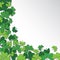 Happy Saint Patrick`s Day Background. Clover, shamrock isolated on white background.