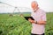 Happy and satisfied senior agronomist or farmer using a tablet in soybean field