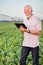 Happy and satisfied senior agronomist or farmer using a tablet in soybean field