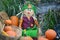 Happy Scarecrow with Pumpkin Display