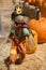 A happy scarecrow in the pumpkin patch