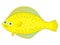 Happy sea flounder fish Yellow large spotted fish cartoon character on white background Cartoon flatfish Sea life theme G