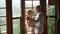 Happy senior couple smile and dance at home enjoying love and relationship together. Active old man and woman have fun in indoor