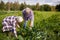 Happy senior couple on squash garden bed at farm