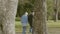 Happy senior couple walking in park on sunny autumn day