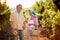 Happy senior man and woman gather harvest grapes