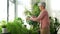 Happy senior woman cleaning houseplant