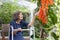 Happy senior woman sitting on terrace with red jade vine flowers at home