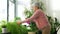 Happy senior woman spraying houseplants at home