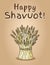 Happy Shavuot Jewish national holiday. Sheaf of wheat bundle