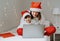 Happy siblings in red santa hats shopping online buying Christmas gifts paying by credit card using laptop