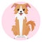 Happy sitting light brown Border Collie dog with smile in flat style