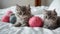 Happy sleepy tabby fluffy Persian cat plays with beautiful balls, skeins of thread. The kitten looks at the camera
