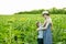 Happy small son embraces pregnant mother standing on a field of blooming sunflowers