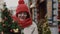 Happy smile woman enjoying christmas walking wearing the red hat and wrapped up in scarf carrying the little tree on the