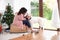 Happy smile woman sitting and hug her lovely white Akita dog in the living room which decorated with the Christmas theme and many