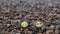 Happy smiley faces on the pebble beach