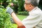 A happy and smiling Asian old elderly man is pruning twigs and flowers for a hobby after retirement in a home. Concept of a happy