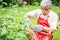 A happy and smiling Asian old elderly man is pruning twigs and flowers for a hobby after retirement in a home. Concept of a happy