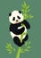 Happy smiling baby giant panda climbing green bamboo tree. Black and white chinese bear cub.