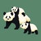 Happy smiling baby giant panda riding on the back of an adult panda with another panda cub walking near. Chinese bear family.