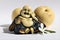 Happy smiling Buddha with two asian pears