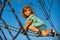 Happy smiling cute little child boy play monkey bars on the web in outdoor playground. Kids in rope park. Funny kids