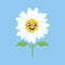 Happy smiling daisy flower icon vector