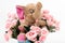 Happy smiling elephant with rose flower bouquet. Iron bucket/container. Image use for birthday, child birth,anniversary, Valentine