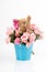 Happy smiling elephant with rose flower bouquet. Iron bucket/container. Image use for birthday, child birth,anniversary, Valentine