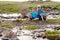 Happy smiling fifty-year-old woman and two cheerful grandchildren sitting on the green grass