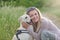 Happy smiling golden dog wearing a walking harness sitting facing its pretty young woman owne