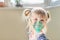 Happy smiling kid using nebuliser mask. Inhalation therapy curing chest cold and coughing. Healthcare and disease prevention conce