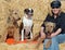 Happy smiling mature woman on hay bales cuddling pet dogs