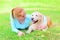 Happy smiling owner woman and Golden Retriever dog is lying
