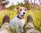 Happy smiling pet dog puppy sitting with his owner in the grass