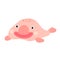 Happy smiling pink deep sea Blobfish cartoon character.