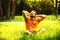 A happy smiling pleased man is sitting on green grass