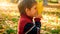 Happy smiling toddler boy holding yellow fallen autumn leaf at park